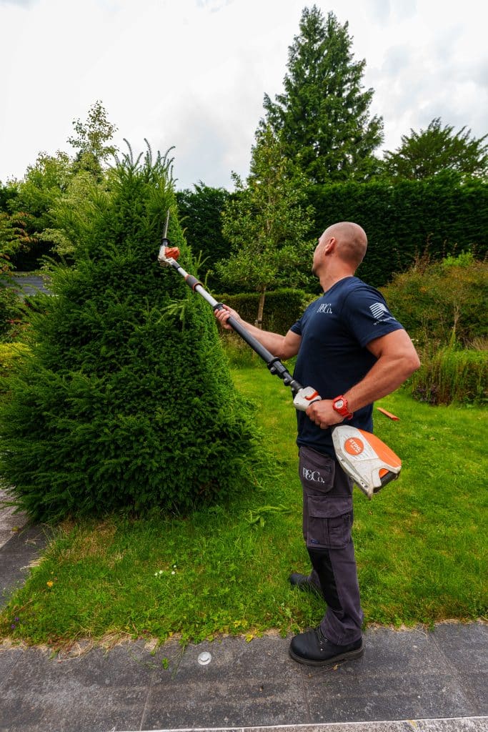 grounds maintenance in commercial setting
