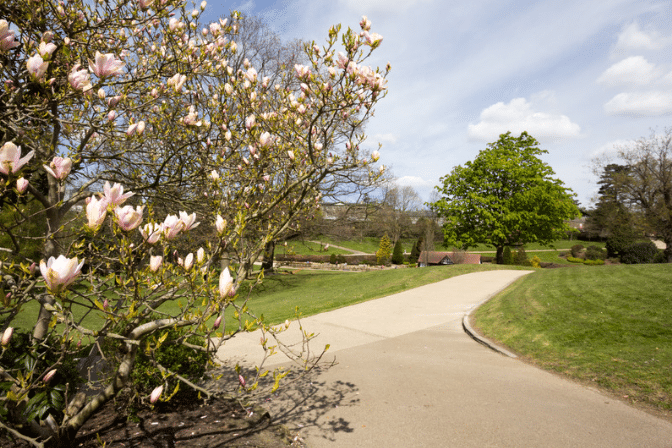 Park Tunbridge Wells Park Local park