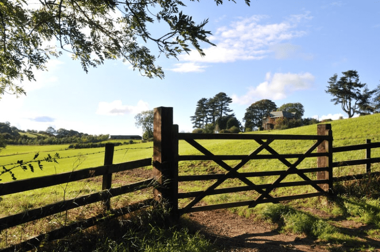 gardening services kent tunbridge wells